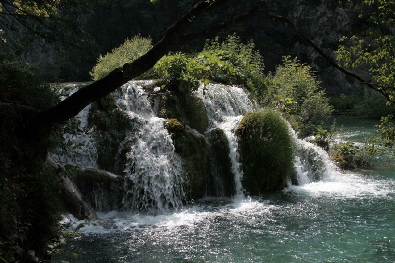 Jeli Apartments Starigrad Paklenica Buitenkant foto